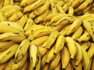Banány v Jižní Americe
