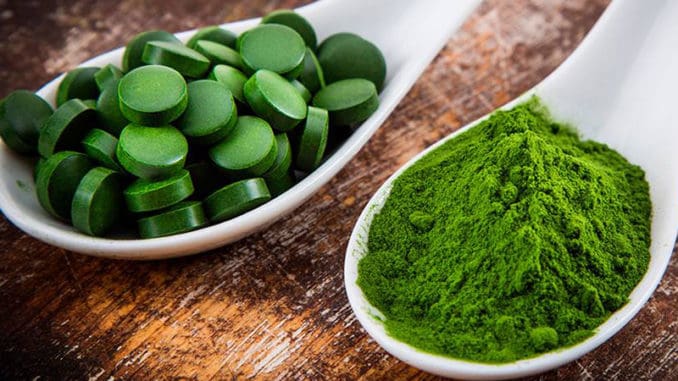 Chlorella v prášku a tabletkách