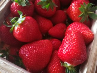 Jahody fungují jako afrodiziakum a mají více vitamínu C než některé citrusové plody
