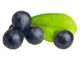 Bobule açaí: tropické ovoce s výjimečně vysokým obsahem antioxidantů