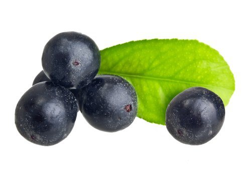 Bobule açaí: tropické ovoce s výjimečně vysokým obsahem antioxidantů