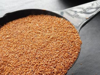 Teff - velmi zdravá obilovina, obsahuje 2× více železa než celozrnná pšenice