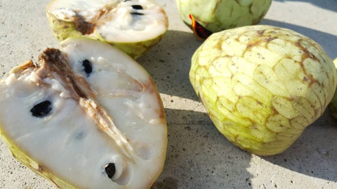 Čerimoja je údajně nejchutnější a nejzdravější ovoce světa