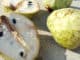 Čerimoja je údajně nejchutnější a nejzdravější ovoce světa