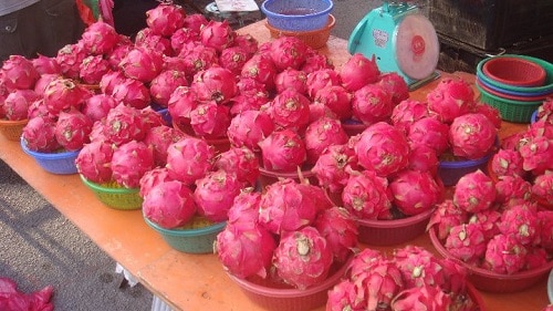 Pitahaya