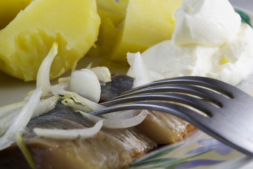 Surströmming je možná nejvíce zapáchající jídlo světa Surströmming je možná nejvíce zapáchající jídlo světa