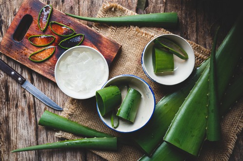 Aloe vera