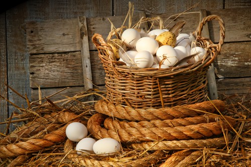 Basket of eggs on straw