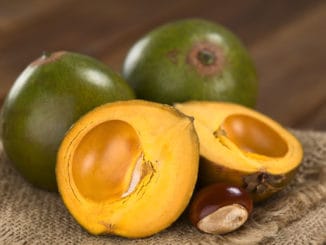 Peruvian Fruit Called Lucuma