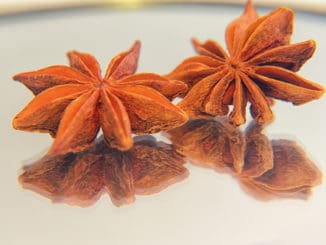 Star Anise (lat. Illicium verum). Spice badyan.