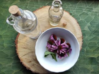 Tinktura z echinacey: využijte antibakteriální a antivirové účinky této rostliny