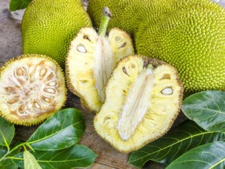 Žakie (jackfruit): zdravé ovoce, kterému se říká i „veganské vepřové“