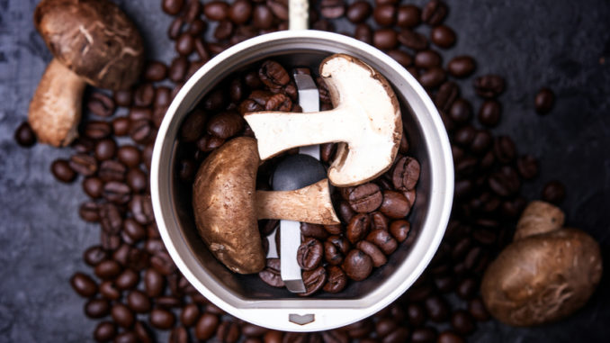 Co je houbová káva a k čemu je dobrá?