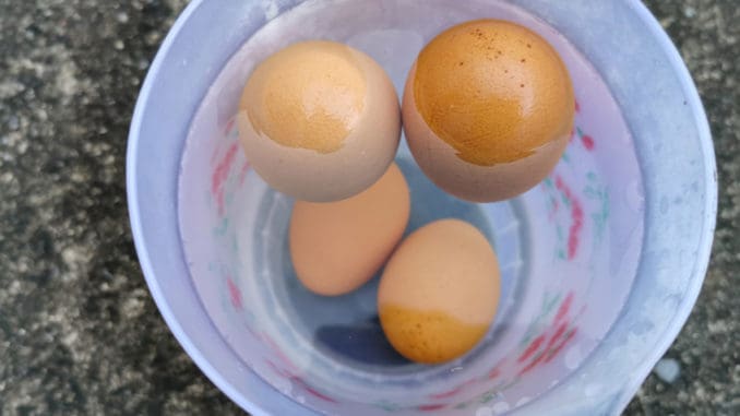 Poznejte čerstvá vajíčka od těch zkažených. S těmito tipy snadno a rychle