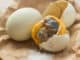 Balut: Kachní embryo jako pochoutka z Filipín prorazilo do gastronomie