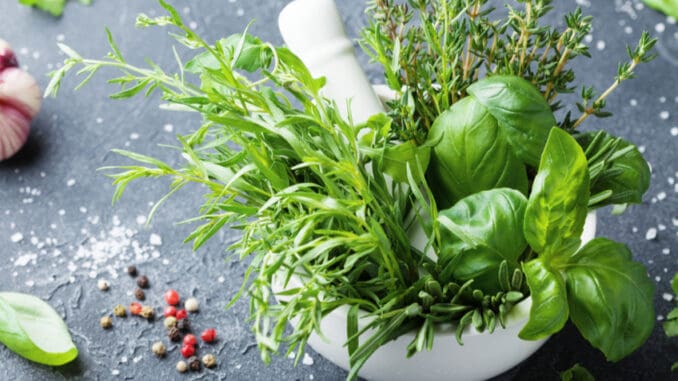 Na první pohled obyčejné koření a bylinky, které prospívají zdraví