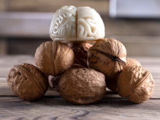 Vlašský ořech připomíná lidský mozek. Tato podobnost není pouhá náhoda