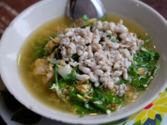 Polévka z mravenčích vajíček: Netradiční laoský pokrm se těší velké oblibě. Odvážlivce v mnohém překvapí