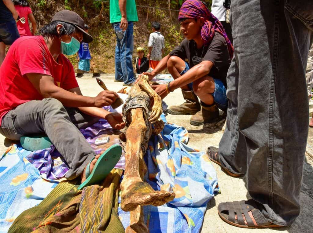 Indonéský kmen žije s mrtvými i několik let. Zemřelí dostávají najíst a na jejich počest jsou obětováni buvoli