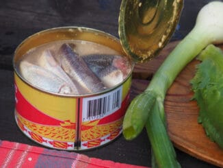 Surströmming: Jedno z nejsmradlavějších jídel na světě. Tuto rybu vyzkouší jen ti největší odvážlivci