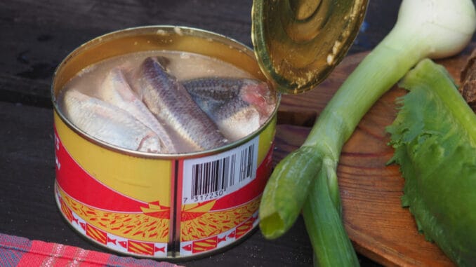 Surströmming: Jedno z nejsmradlavějších jídel na světě. Tuto rybu vyzkouší jen ti největší odvážlivci