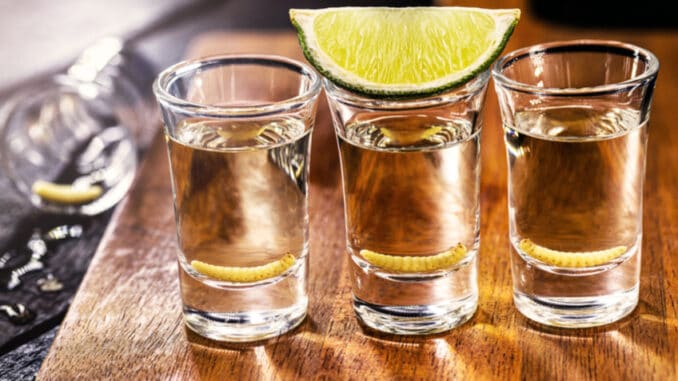 Mezcal: Lihovina příbuzná s tequilou, ve které plavou červi. Chuť červa vás může zaskočit