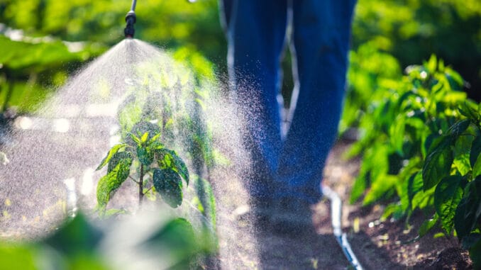 Pesticidy v zemědělství: Kvůli dopadu na životní prostředí musí být značně regulovány