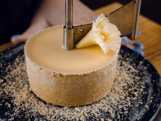 Sýr mniší hlava: Typické servírování mnohé zarazí. O jeho původu se dodnes vedou spekulace i po 800 letech