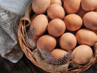 Není vejce jako vejce. Mezi klecovými a těmi z volného chovu jsou značné rozdíly