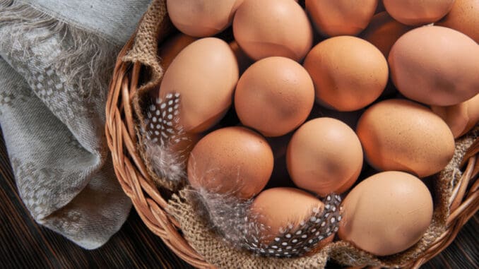 Není vejce jako vejce. Mezi klecovými a těmi z volného chovu jsou značné rozdíly