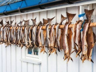 Arbroath smokies: Treska uzená horkým způsobem pomocí procesu starého 200 let. Je považována za odkaz Vikingů