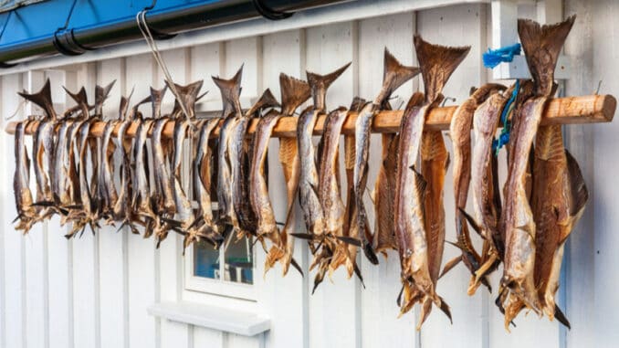 Arbroath smokies: Treska uzená horkým způsobem pomocí procesu starého 200 let. Je považována za odkaz Vikingů