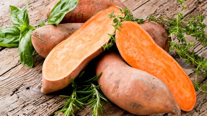Sladké versus klasické brambory: Cukrovkáři by měli sáhnout po batátech. Odlišný glykemický index závisí i na zpracování
