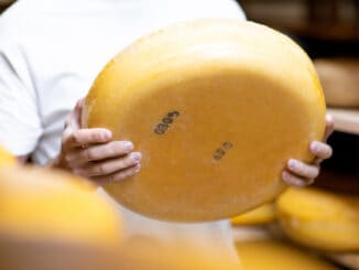 Sýr je nejčastěji kradeným jídlem ve světě. Ročně se ho ukradne přes 203 milionů kilogramů