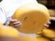Sýr je nejčastěji kradeným jídlem ve světě. Ročně se ho ukradne přes 203 milionů kilogramů