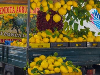 Italové jsou na své citrony ze Sorrenta hrdí a přezdívají jim „žluté zlato z Kampánie“