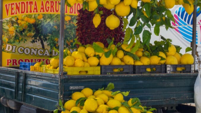 Italové jsou na své citrony ze Sorrenta hrdí a přezdívají jim „žluté zlato z Kampánie“