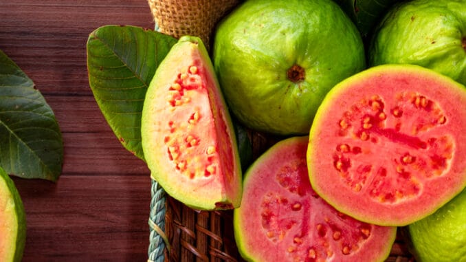 Guava: Tropické ovoce, které vám pomůže s mnohými neduhy. Ocení jej zejména ženy