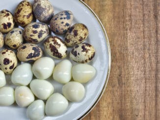 Křepelčí vejce jsou plná prospěšných antioxidantů. Údajně mohou jednoho dne léčit i příznaky alergie