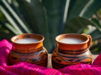 Starodávný mexický nápoj pulque je považován za dar bohů, jehož oblibu nezhatil ani španělský zákaz