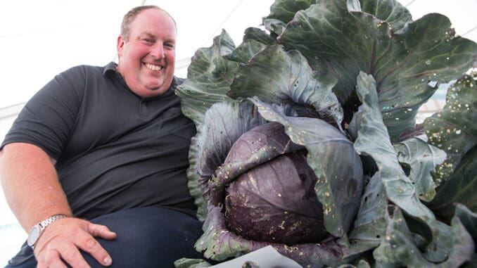 Rekordmani ze světa zeleniny: Kapusta nebo obří celer vážící 22 kilogramů