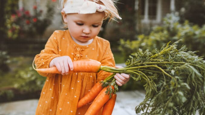 Vegetariánské děti versus děti „masožravé“: Studie zjistila, že mají podobný růst, ale ne hmotnost