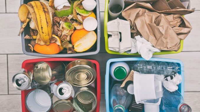Třídění kuchyňského odpadu: Kam s obaly po standardním nákupu potravin