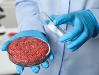 Produkce umělého masa čelí mnoha problémům. I v České republice