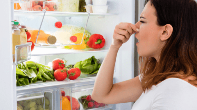 Vadí vám nepříjemné pachy v lednici? Tyto geniální přírodní produkty s nimi hravě zatočí