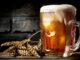 Dvě piva denně sníží riziko vzniku demence, ale tím jejich přínos zdaleka nekončí