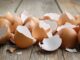 Vaječné skořápky nevyhazujte. Dají se využít na zahradě i jako pomoc při bodnutí hmyzem