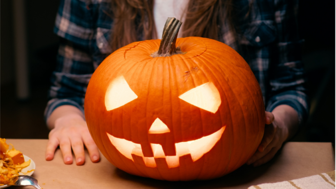 Halloweenské dýně nevyhazujte do přírody. Můžete je recyklovat, nebo si na nich pochutnat, a zachránit tak život nejednoho ježka