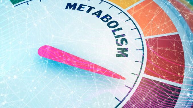 Rychlý metabolismus: Jakých chyb se dopouštíme a čím si metabolismus spíše zpomalujeme?
