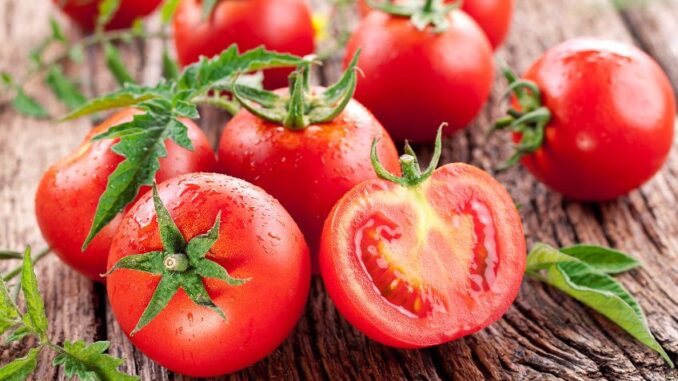 Nová vědecká studie prokázala, že rajčata mohou být prospěšná pro naše střeva
